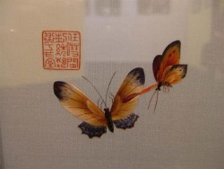 SJ008.JPG