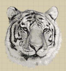 Tiger_by_t007.jpg