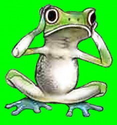 FROG001.jpg