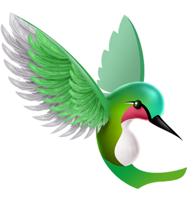 hummingbird.png