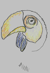 wilcom_173.png