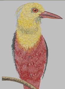 bird002.jpg