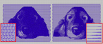 tajima041.png