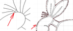 уроки_embird(0138).png