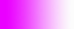 rose001.jpg