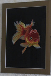 золотая рыбка 1.jpg