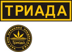 Шевроны охрана.jpg