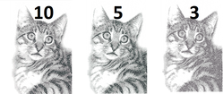 111.png
