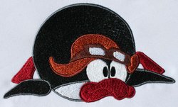 pin.jpg