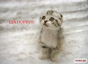 1146806608_poxe_ru_ron_creativ_01.jpg