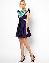 12image4xxl.jpg