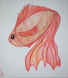 IMG_8860.JPG
