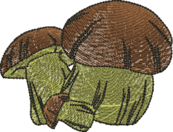 dds_002.PNG