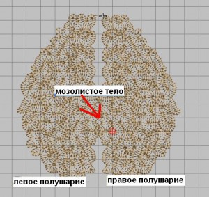 001.JPG