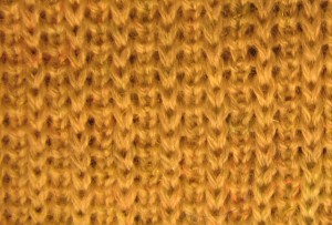IMG_2220_e.jpg