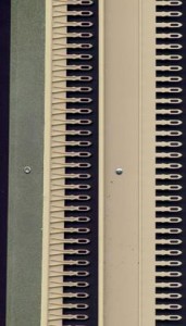 5563.jpg