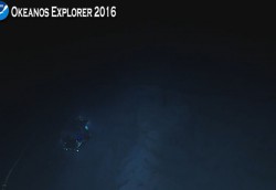 float.JPG