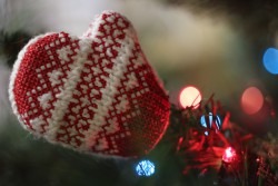 IMG_4912.JPG