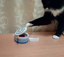 IMG_20170409_195748.jpg
