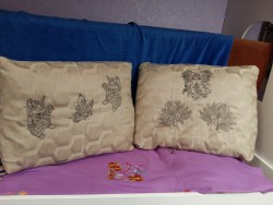 20170808_224538.jpg