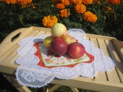 IMG_4039.JPG