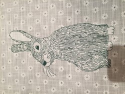 Rabbit by me.JPG