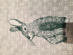 Rabbit by Tonito.JPG
