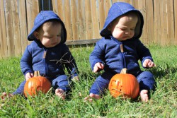 IMG_3690s.JPG