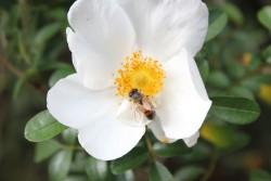 IMG_3874s.JPG