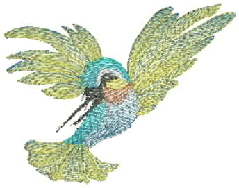bird.JPG