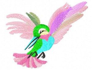bird of paradise.jpg