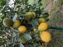 20201017_135847.jpg