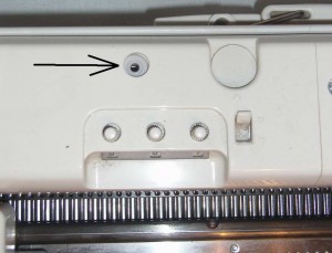 SL551347.JPG