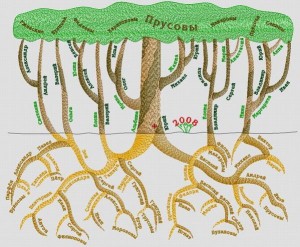 tree-1.jpg