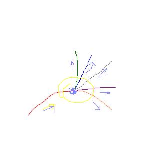 branching.JPG