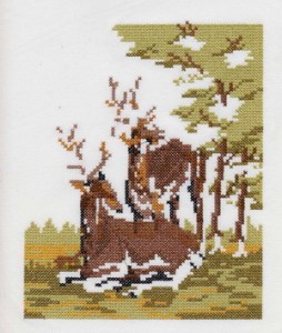 App0003.jpg