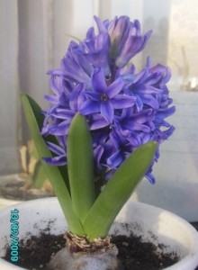 Копия PICT1048.JPG