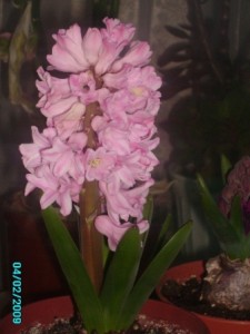 Копия PICT1036.JPG