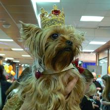 Изображение Файл вышивки "Корона"