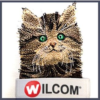 Изображение Посади кота в карман. Мини-курс Wilcom ES. Он-лайн