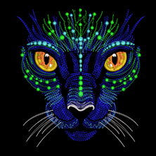 Изображение "Галактический Кот" дизайн машинной вышивки 