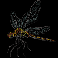 Изображение В стиле EmbroArt дизайн машинной вышивки 