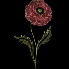 Изображение "Мак" дизайн машинной вышивки 