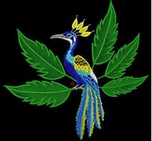 Изображение "Райская птица" дизайн машинной вышивки 