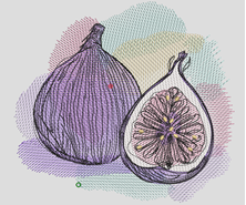 Изображение "Инжир" дизайн машинной вышивки 